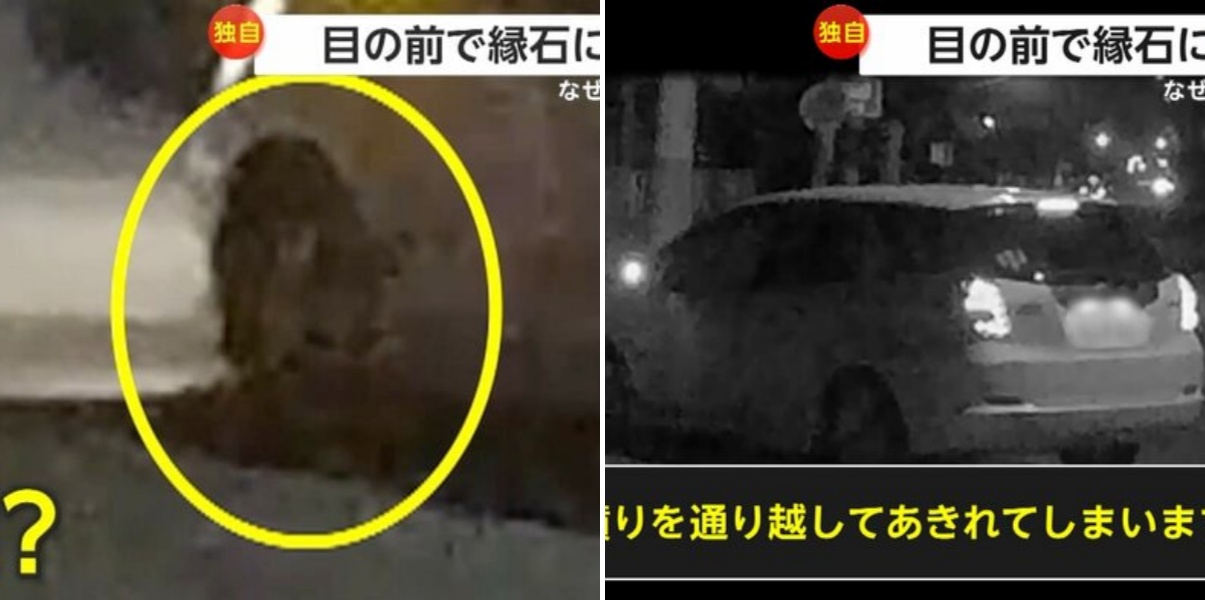 【独自】「憤りを通り越して呆れる」突然目の前で「ドン！」 縁石に乗り上げ跳ね上がる車 通報を依頼も…ドライバーが立ち去る 埼玉・狭山市