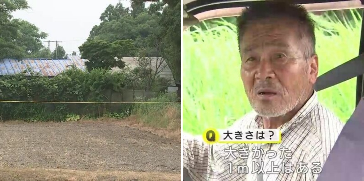 「家の中まで侵入」クマに襲われ81歳女性死亡、全身に引っかかれたり噛まれたりした痕 岩手・北上市で住宅侵入相次ぐ…県内初のクマ被害防止目的の避難所を開設
