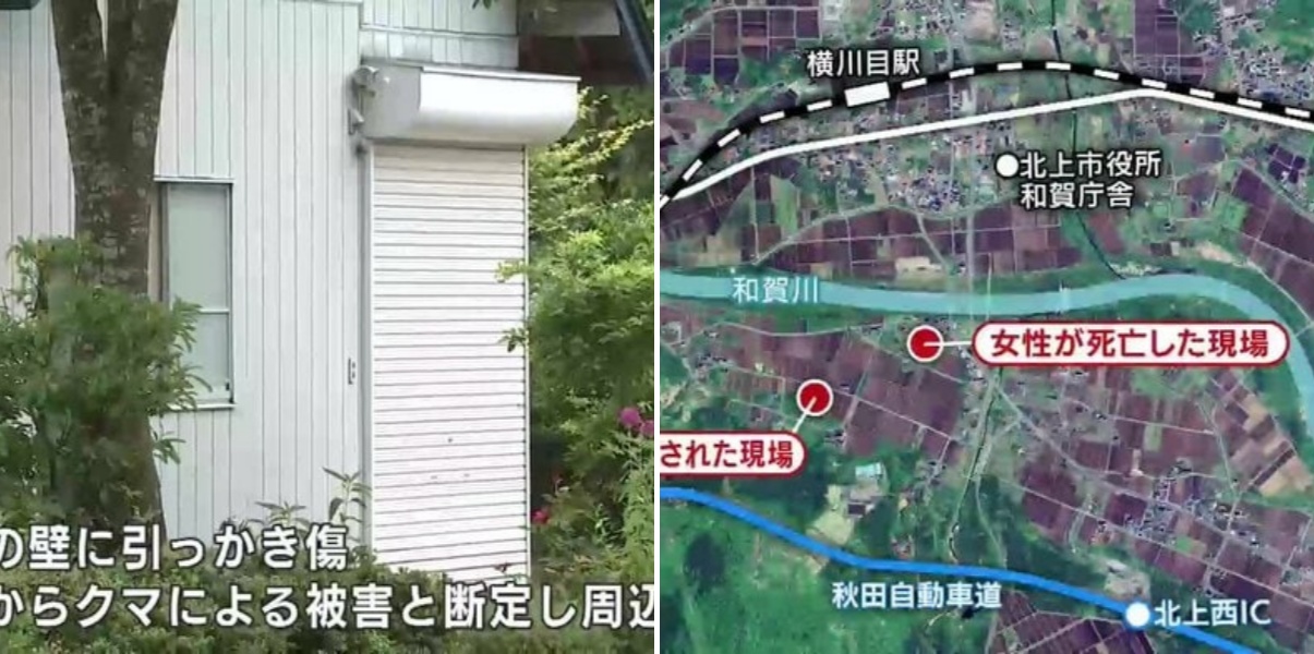クマが「建物侵入でコメが食べられる」と学習か…クマに襲われ女性死亡事故後も周辺で被害続く 「本音を言えば駆除してほしい」住民の不安高まる【岩手発】
