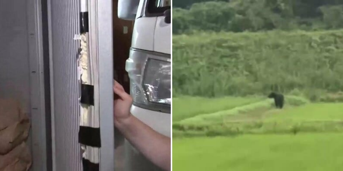 続く恐怖…クマが住宅車庫に侵入し米袋を荒らす クマに襲われ女性死亡現場から3ｋｍ、同一個体か…岩手・北上市で被害続発 環境省が「緊急銃猟」ガイドライン公表