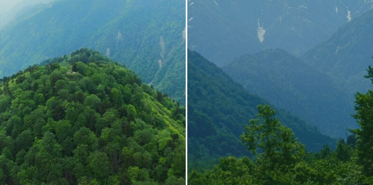 遺体は滋賀県の大学教授 富山県上市町の山あいで発見 登山中だったか