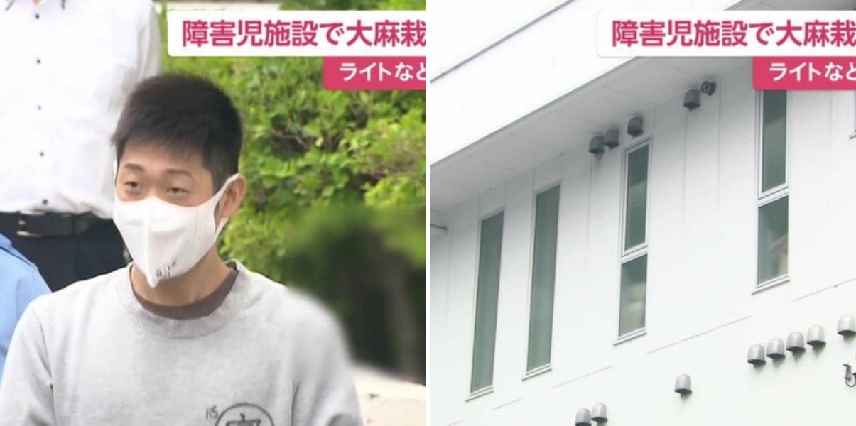 障害者施設で大麻草を栽培か 施設責任者の市川雄三容疑者を逮捕 警察に情報が寄せられて家宅捜索 神奈川県