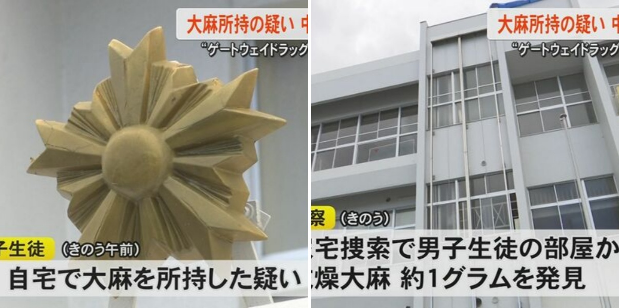 「俺が吸うため」自宅で大麻所持の疑いで中学3年生の男子生徒（15）を逮捕『ゲートウェイドラッグ』とも呼ばれ若者にも魔の手が伸びる